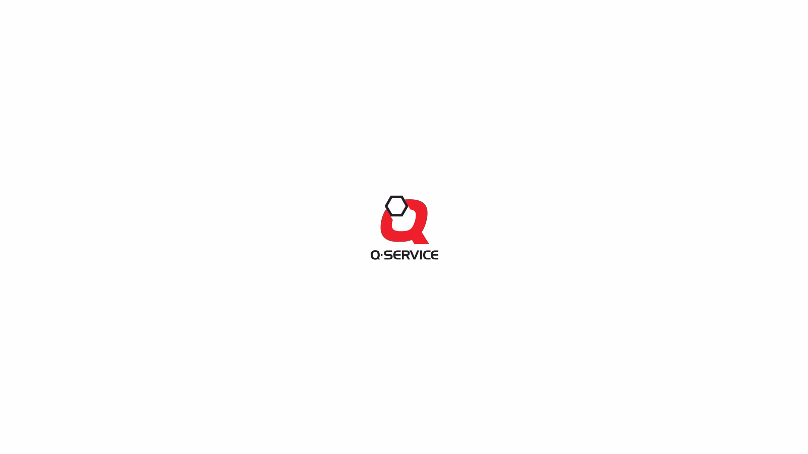 Service Auto Lungu cover