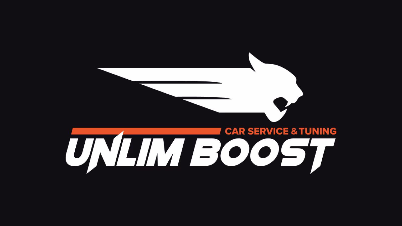 UnlimBoostMD cover