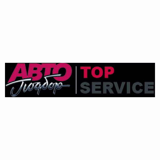 Top Service logo